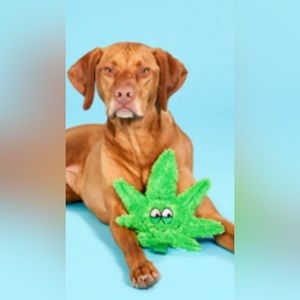 ☮️❤️🐶  420 Dog Toy plush  leaf Bud 420 for your best Bud